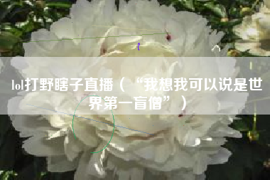 lol打野瞎子直播（“我想我可以说是世界第一盲僧”）