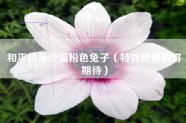 和平精英沙漠粉色兔子（特效枪最值得期待）