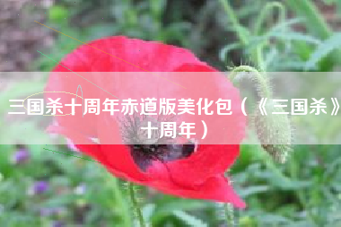 三国杀十周年赤道版美化包（《三国杀》十周年）