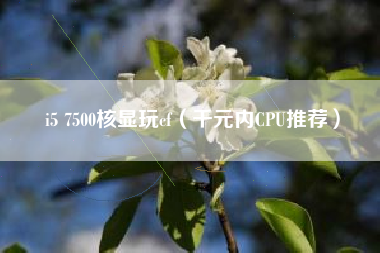 i5 7500核显玩cf（千元内CPU推荐）