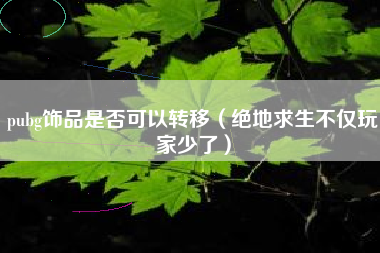 pubg饰品是否可以转移（绝地求生不仅玩家少了）