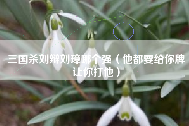 三国杀刘辩刘璋哪个强（他都要给你牌让你打他）