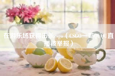 在游乐场获得击杀csgo（CSGO一哥QUQU直播被举报）