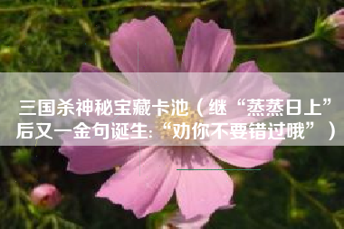 三国杀神秘宝藏卡池（继“蒸蒸日上”后又一金句诞生:“劝你不要错过哦”）