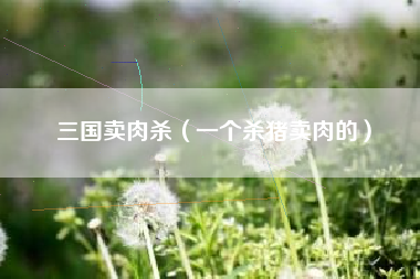三国卖肉杀（一个杀猪卖肉的）