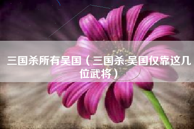 三国杀所有吴国（三国杀:吴国仅靠这几位武将）
