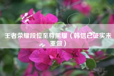王者荣耀段位至尊黑耀（韩信已证实未重做）