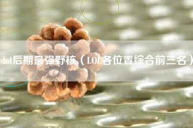 lol后期最强野核（LOL各位置综合前三名）