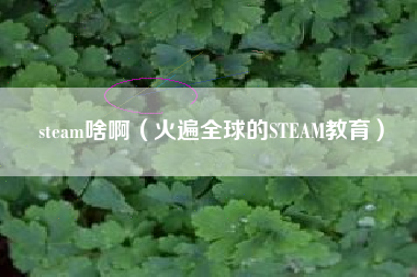 steam啥啊（火遍全球的STEAM教育）