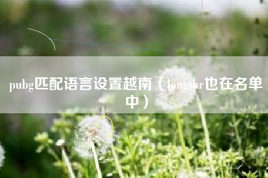 pubg匹配语言设置越南（longskr也在名单中）
