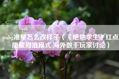 pubg准星怎么改样子（《绝地求生》红点隐藏瞄准模式:海外数千玩家讨论）