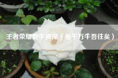 王者荣耀野牛被撞（虽千万牛吾往矣）