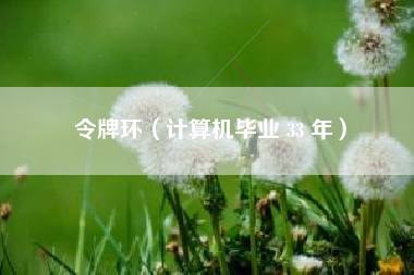令牌环（计算机毕业 33 年）