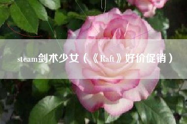 steam剑术少女（《Raft》好价促销）