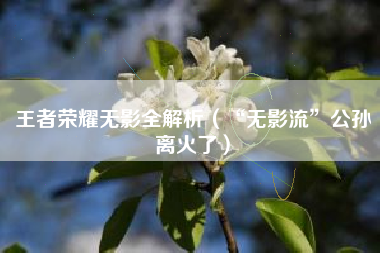 王者荣耀无影全解析（“无影流”公孙离火了）