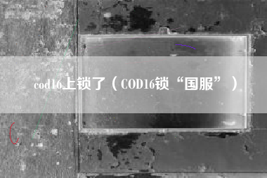 cod16上锁了（COD16锁“国服”）