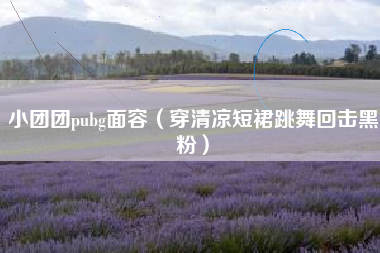小团团pubg面容（穿清凉短裙跳舞回击黑粉）