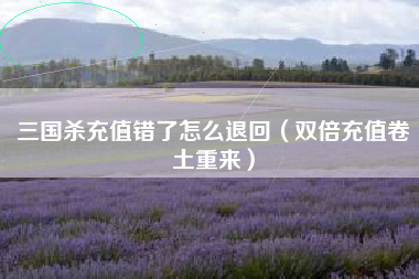 三国杀充值错了怎么退回（双倍充值卷土重来）
