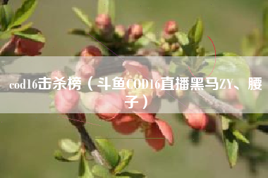 cod16击杀榜（斗鱼COD16直播黑马ZY、腰子）