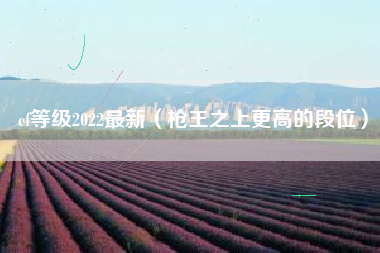 cf等级2022最新（枪王之上更高的段位）