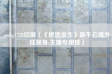 pubg1728切屏（《绝地求生》最牛云端外挂现身:主播专用挂）