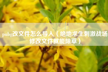 pubg改文件怎么导入（绝地求生刺激战场修改文件就能除草）