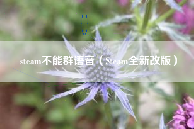 steam不能群语音（Steam全新改版）