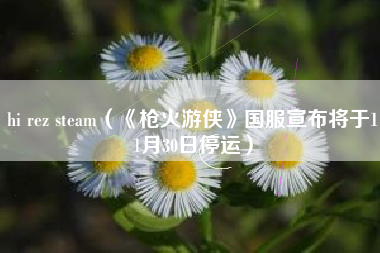 hi rez steam（《枪火游侠》国服宣布将于11月30日停运）