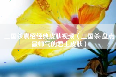 三国杀袁绍经典皮肤视频（三国杀:盘点最帅气的君主皮肤）