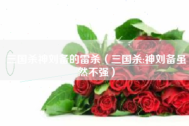 三国杀神刘备的雷杀（三国杀:神刘备虽然不强）