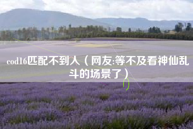 cod16匹配不到人（网友:等不及看神仙乱斗的场景了）