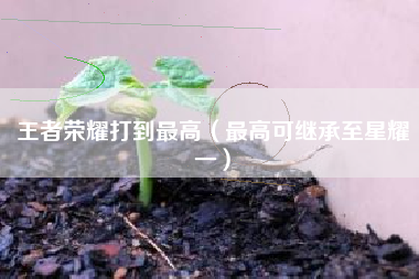 王者荣耀打到最高（最高可继承至星耀一）