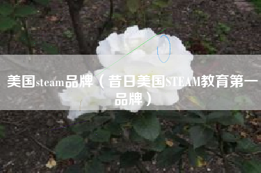 美国steam品牌（昔日美国STEAM教育第一品牌）