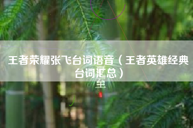 王者荣耀张飞台词语音（王者英雄经典台词汇总）