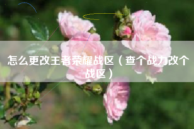 怎么更改王者荣耀战区（查个战力改个战区）