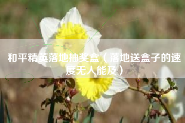 和平精英落地抽奖盒（落地送盒子的速度无人能及）
