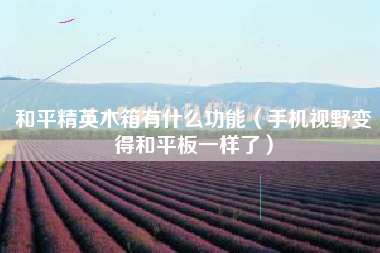 和平精英木箱有什么功能（手机视野变得和平板一样了）