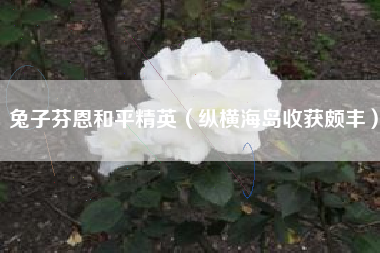 兔子芬恩和平精英（纵横海岛收获颇丰）