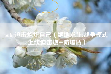 pubg迫击炮炸自己（绝地求生:战争模式上线迫击炮+防爆盾）