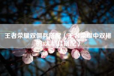 王者荣耀双佣兵搭配（王者荣耀中双排的3大绝佳搭配）