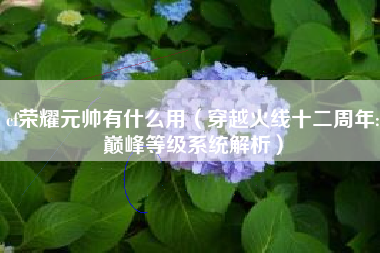 cf荣耀元帅有什么用（穿越火线十二周年:巅峰等级系统解析）