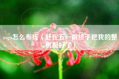 csgo怎么布线（赶在五一前终于把我的整机配好了）