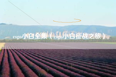 csgo小白全集（csgo小白征战之旅）