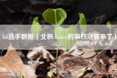 lol选手数据（北枫:Faker的第四冠要来了）