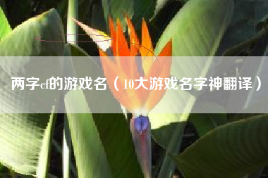 两字cf的游戏名（10大游戏名字神翻译）