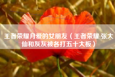王者荣耀月爱的女朋友（王者荣耀:张大仙和灰灰被各打五十大板）