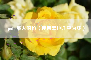 pubg最大的枪（使用率也几乎为零）