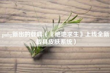 pubg新出的载具（《绝地求生》上线全新载具皮肤系统）