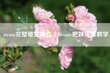 steam完璧彼女操作（Steam:把妹实景教学）