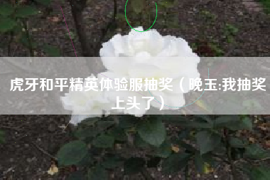 虎牙和平精英体验服抽奖（晚玉:我抽奖上头了）